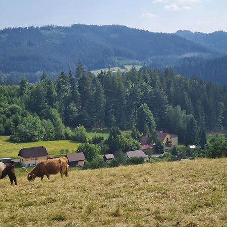 Penzion Na Lukach Otel Horní Bečva Dış mekan fotoğraf